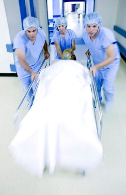 当心小动物咬伤引发白癜风